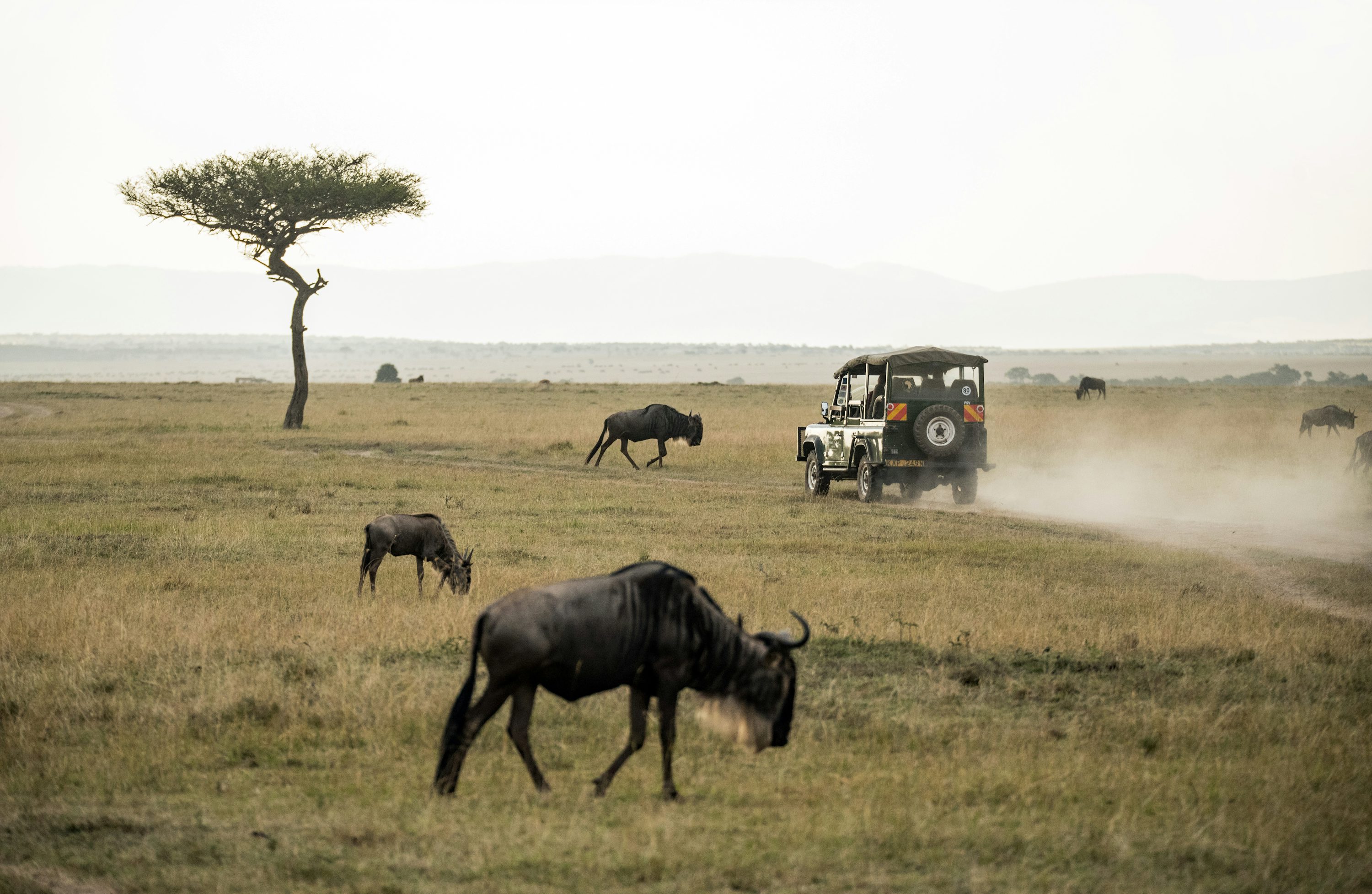 Kenya