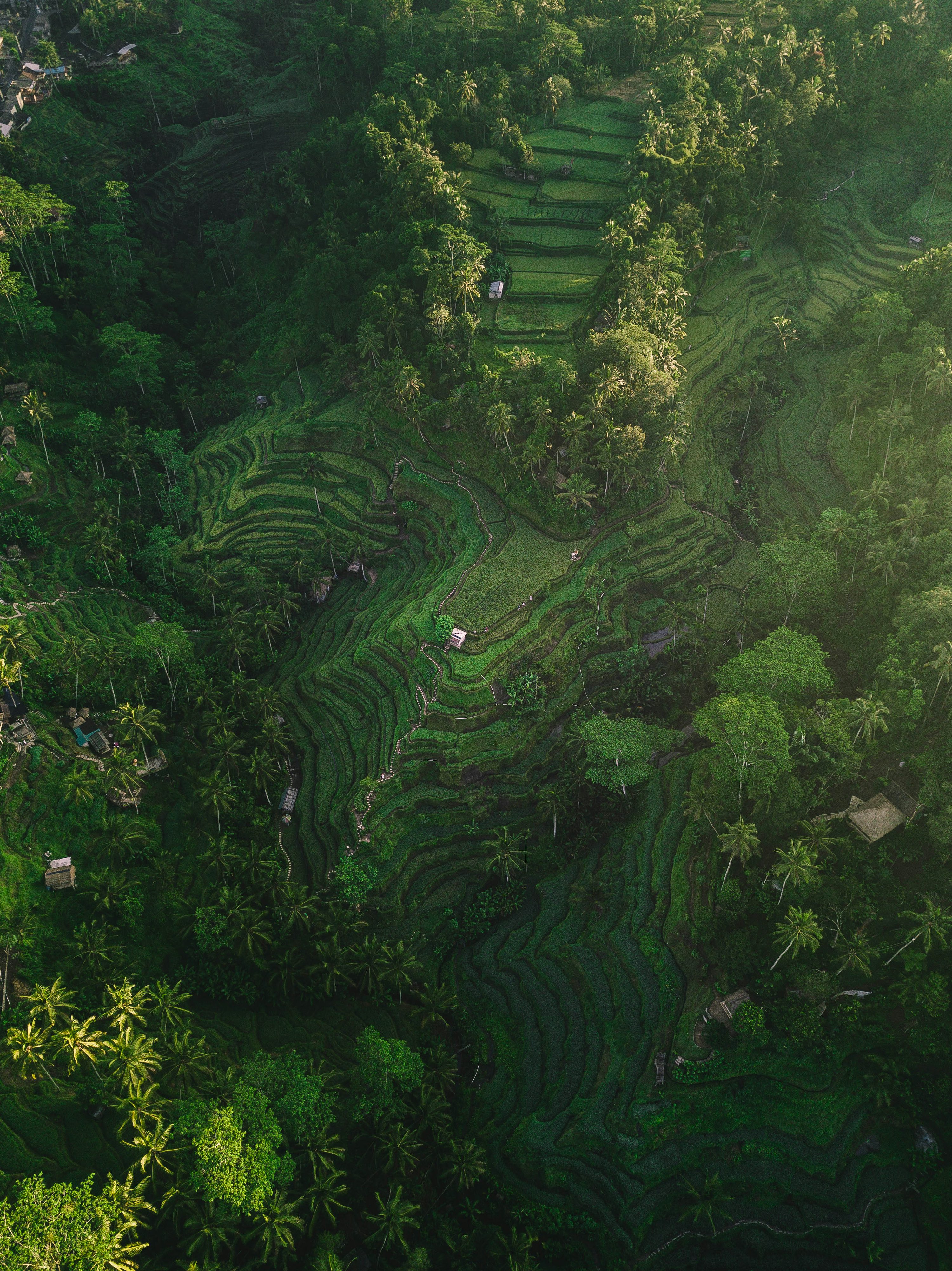 Bali